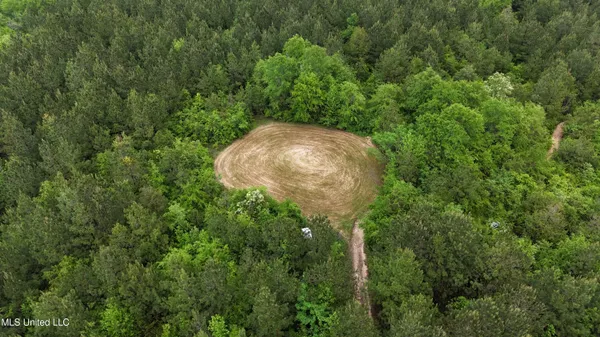 $344,000 | Bethlehem Road, Lauderdale, MS 39335
