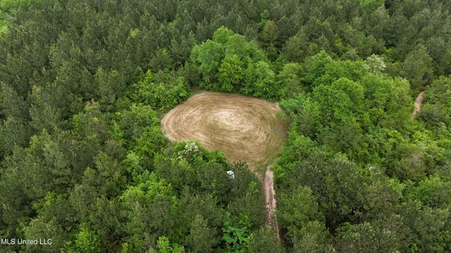 $344,000 | Bethlehem Road, Lauderdale, MS 39335