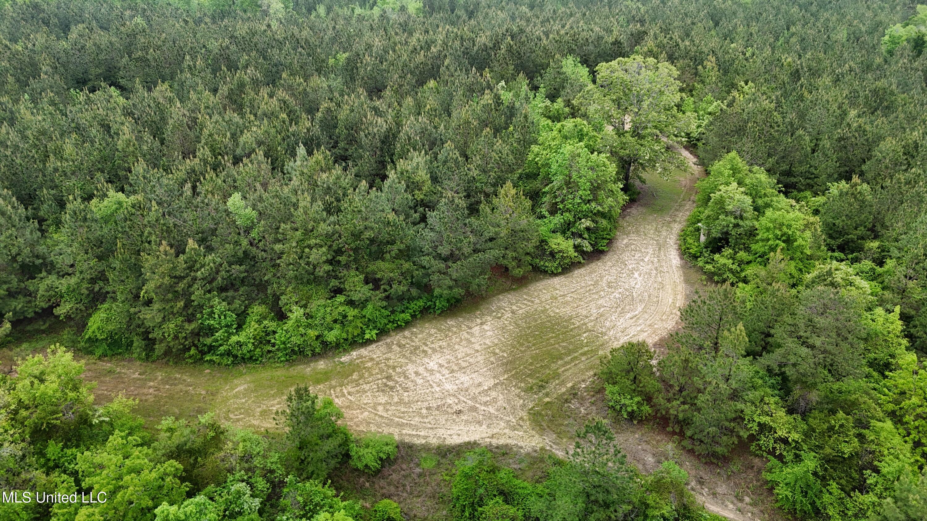 Bethlehem Road Lauderdale, MS 39335 - Photo 5 of 21 photo 5