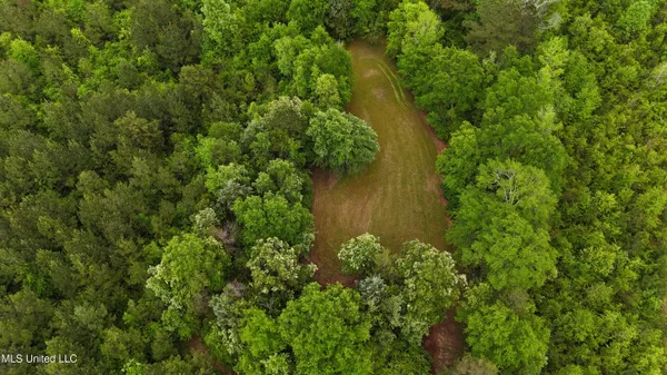$344,000 | Bethlehem Road, Lauderdale, MS 39335