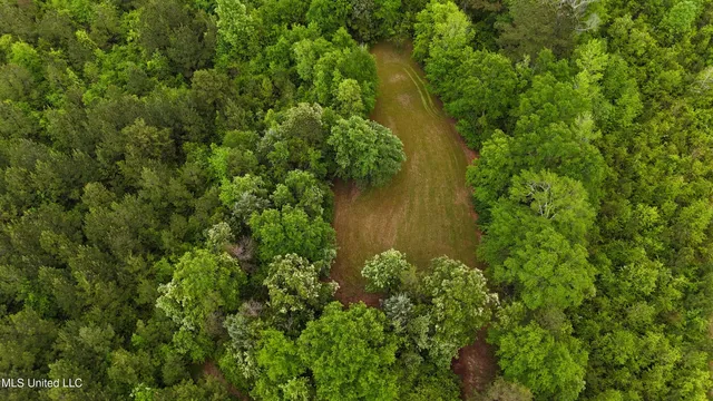 $344,000 | Bethlehem Road, Lauderdale, MS 39335