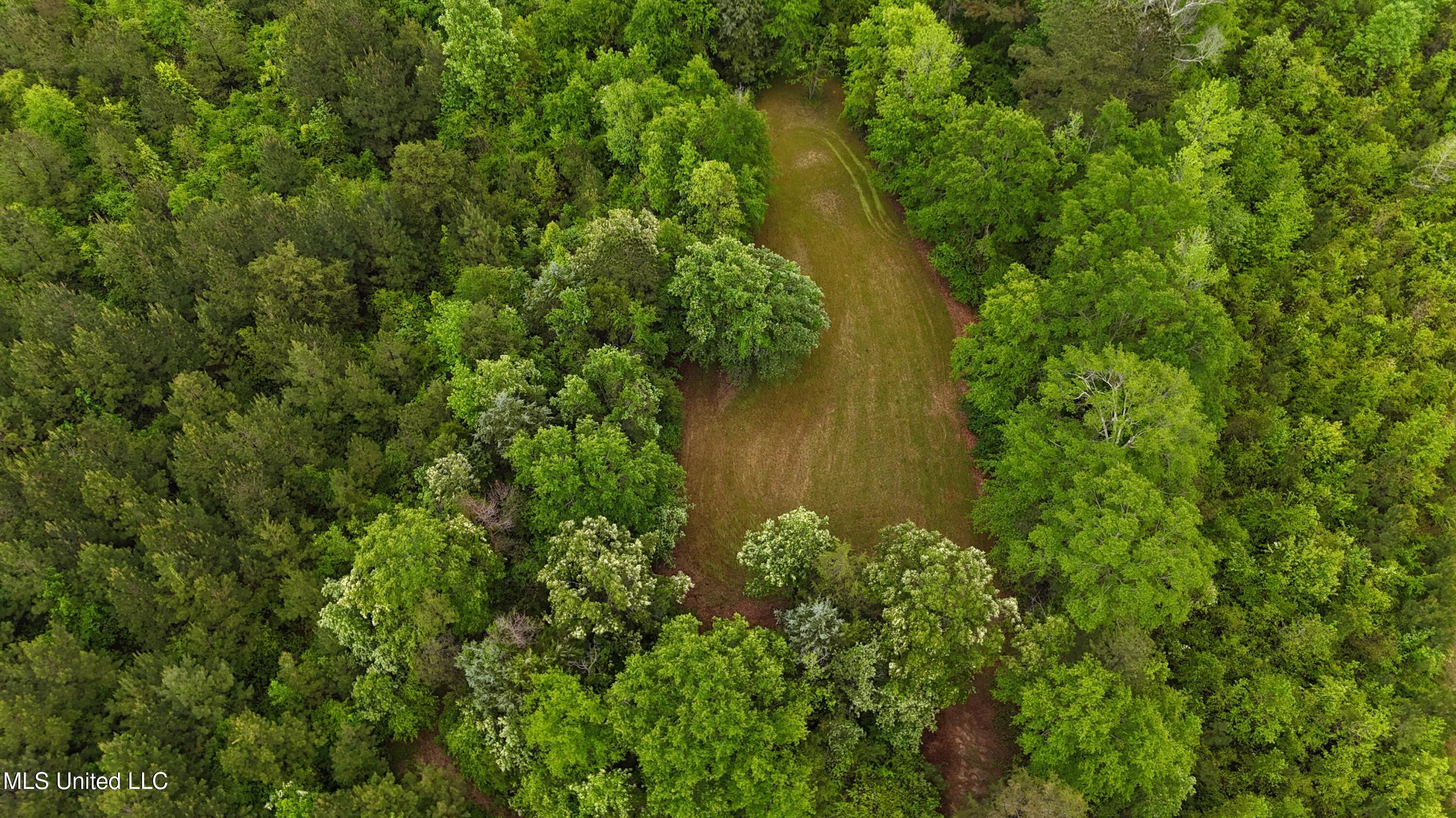 Bethlehem Road Lauderdale, MS 39335 - Photo 6 of 21 photo 6