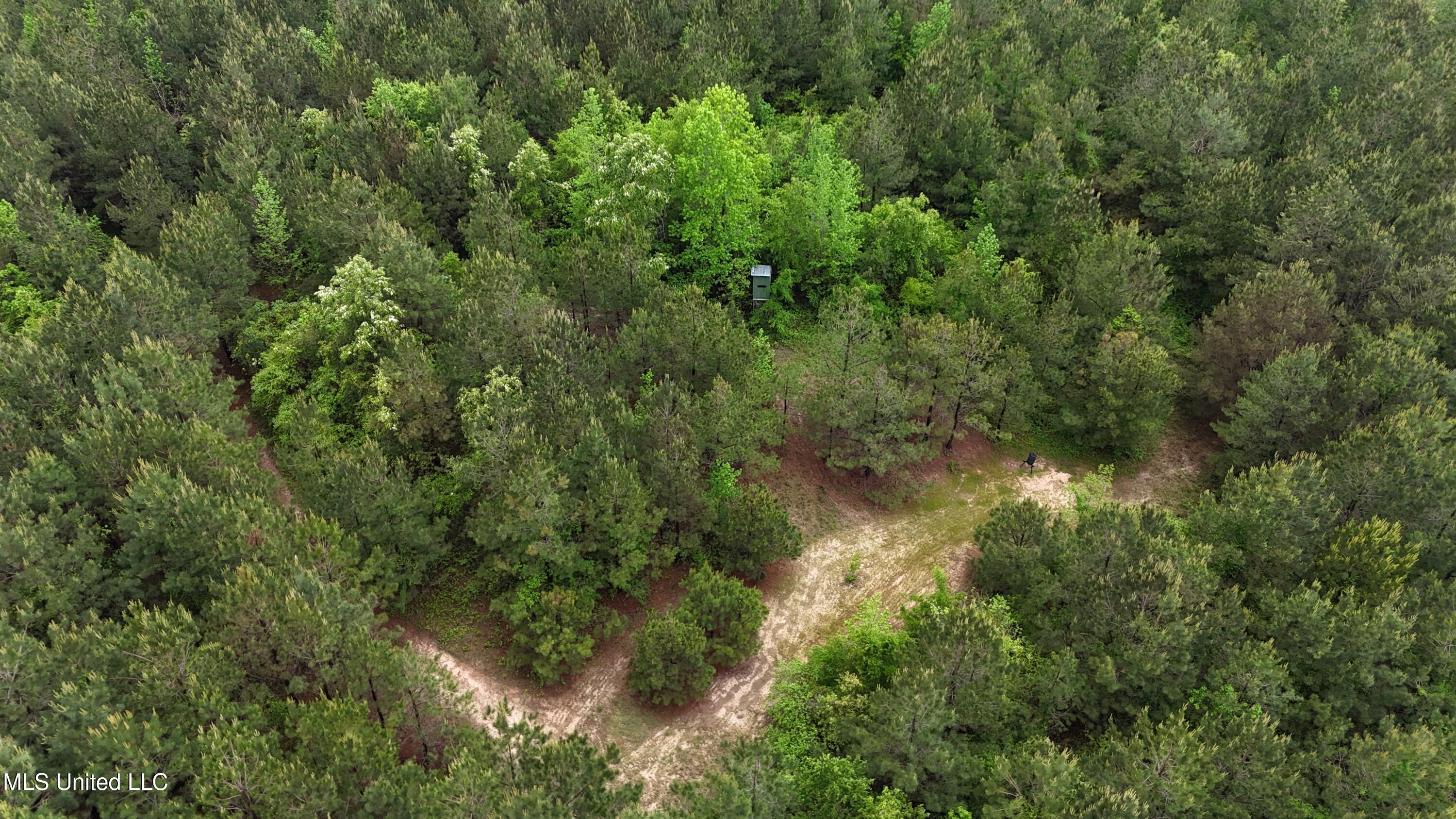 Bethlehem Road Lauderdale, MS 39335 - Photo 7 of 21 photo 7