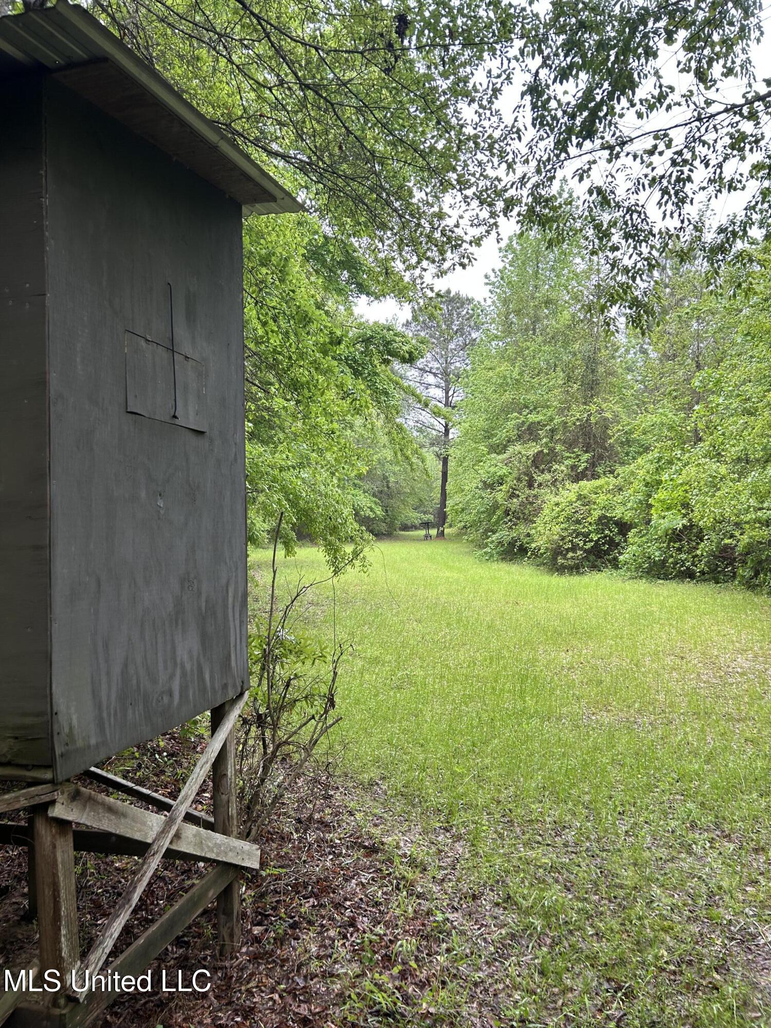 Bethlehem Road Lauderdale, MS 39335 - Photo 9 of 21 photo 9