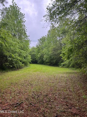 $344,000 | Bethlehem Road, Lauderdale, MS 39335