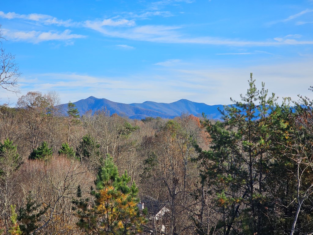 2567 Todd Shook Road Young Harris, GA 30582 - Photo 16 of 62 a view of a lake in middle of the forest
