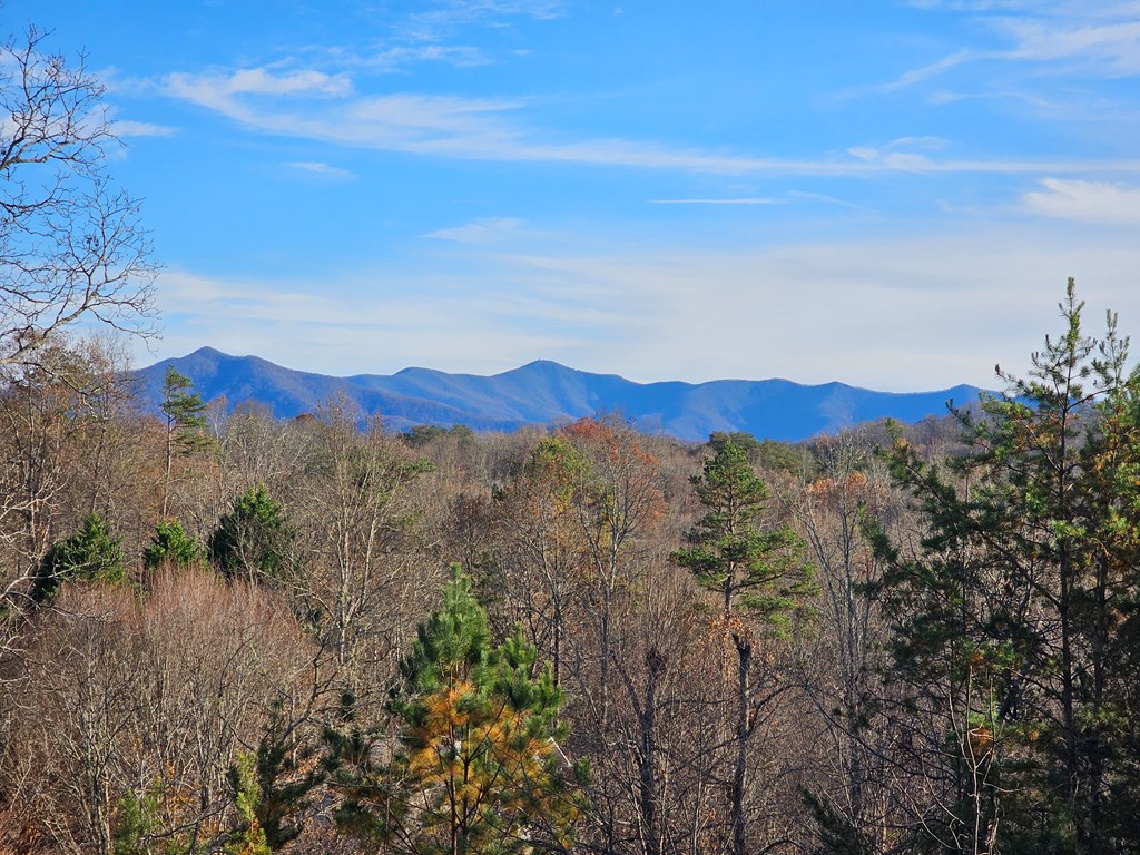 2567 Todd Shook Road Young Harris, GA 30582 - Photo 18 of 62