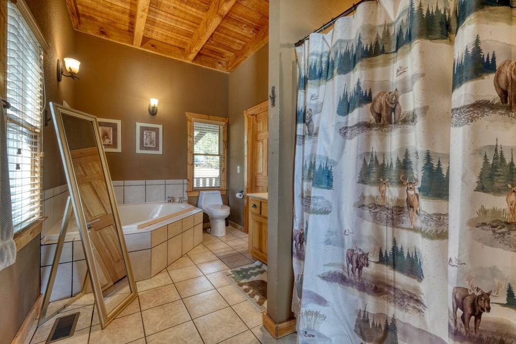 2567 Todd Shook Road Young Harris, GA 30582 - Photo 24 of 62 a bathroom with a bathtub and a shower