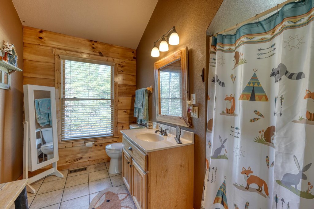 2567 Todd Shook Road Young Harris, GA 30582 - Photo 35 of 62 a bathroom with a sink and a mirror