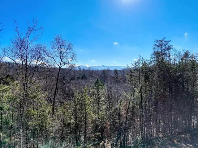 a bedroom with a bed and flat screen tv