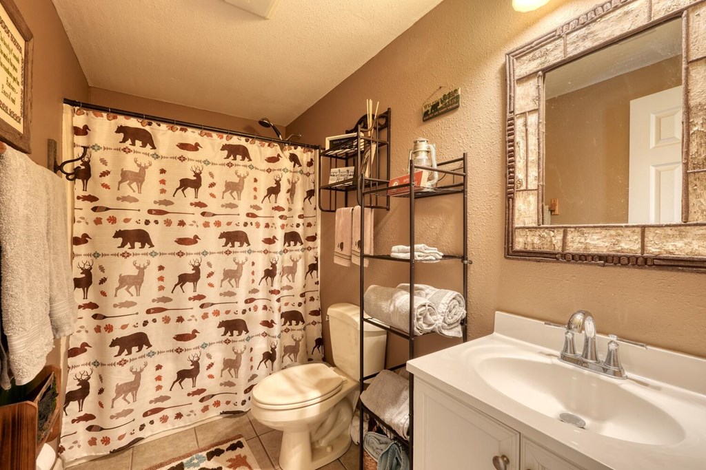 2567 Todd Shook Road Young Harris, GA 30582 - Photo 45 of 62 a bathroom with a sink toilet and shower