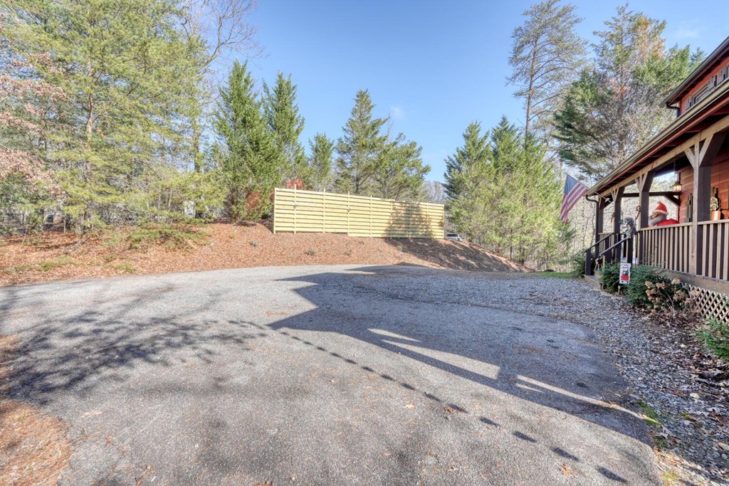 2567 Todd Shook Road Young Harris, GA 30582 - Photo 55 of 62 a view of a yard with plants and trees