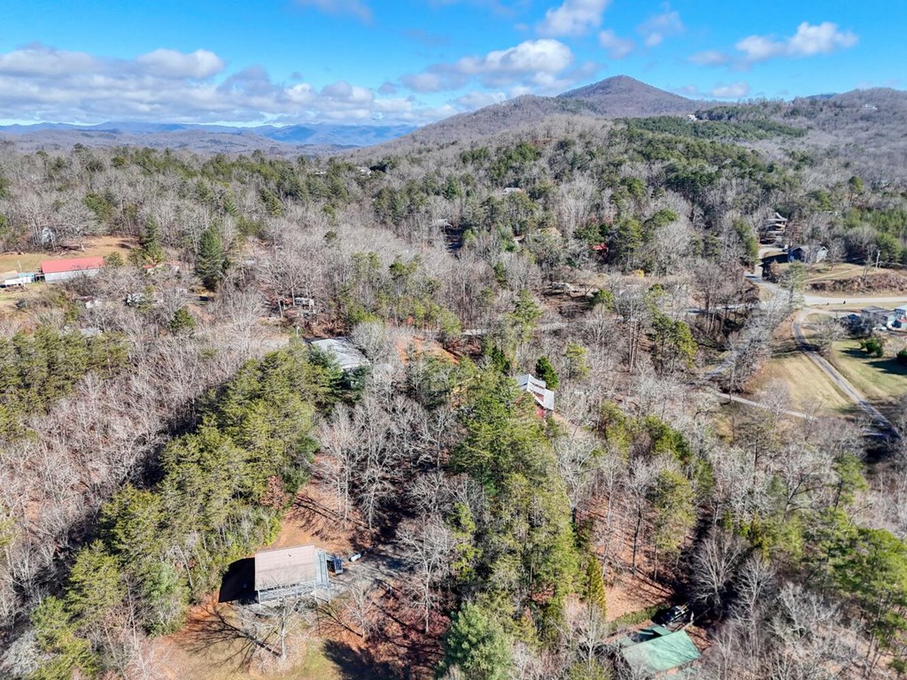 2567 Todd Shook Road Young Harris, GA 30582 - Photo 59 of 62 a view of a city with mountains in the background