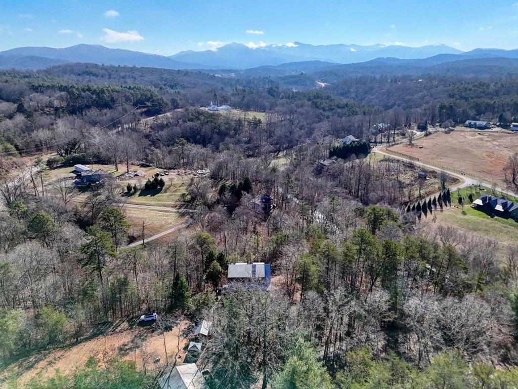 2567 Todd Shook Road Young Harris, GA 30582 - Photo 61 of 62 an aerial view of residential house and green space