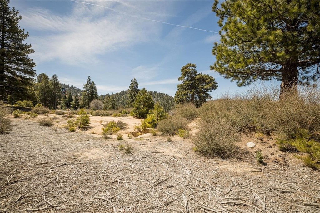 150 Mill Pond Road Lake Arrowhead, CA 92352 - Photo 8 of 15