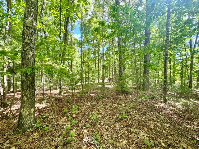 3 Rockridge Road Newtown Square, PA 19073 - Photo 1 of 13 Main View