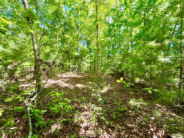 3 Rockridge Road Newtown Square, PA 19073 - Photo 2 of 13