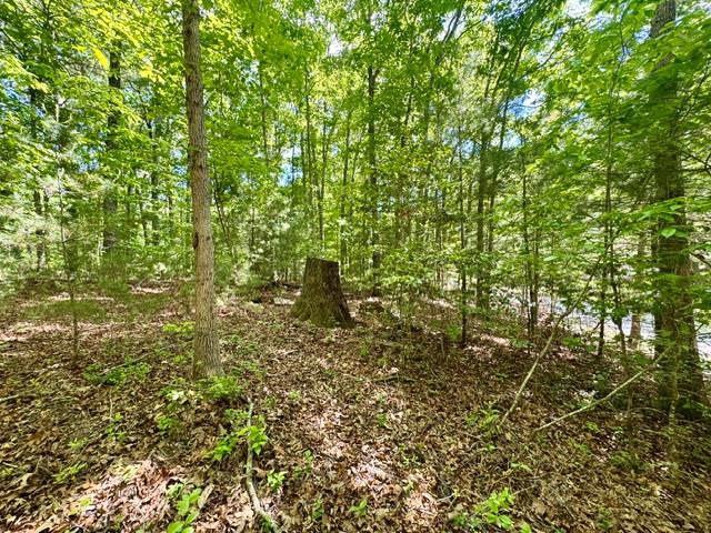 3 Rockridge Road Newtown Square, PA 19073 - Photo 3 of 13