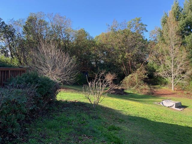 176 Arthur Road Garberville, CA 95542 - Photo 6 of 17 IMG_0712