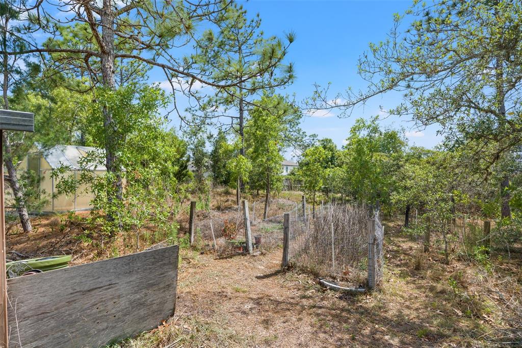 13002 Oneida Street Spring Hill, FL 34609 - Photo 28 of 36