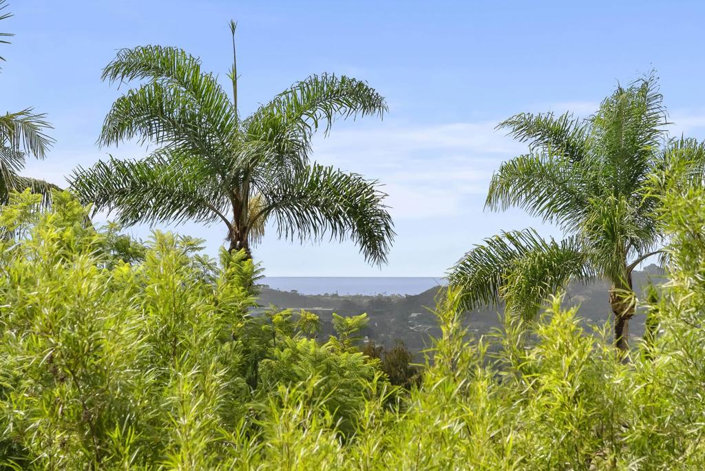 3401 Adams Run Encinitas, CA 92024 - Photo 7 of 18 a view of a backyard of a house