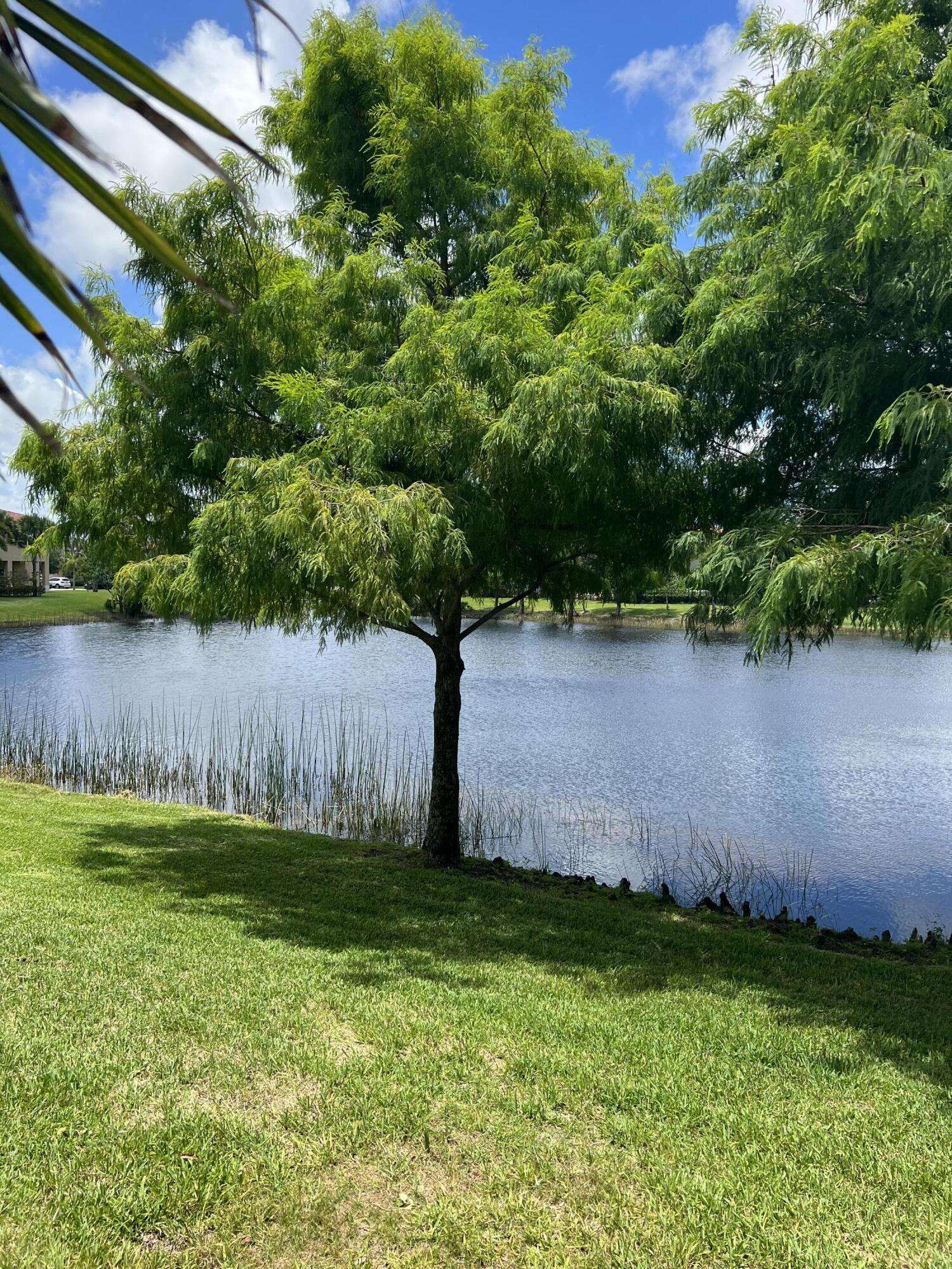 119 Behring Way Jupiter, FL 33458 - Photo 7 of 88 B2B0F87F-565D-46A1-96F4-4C172EFC7DDC