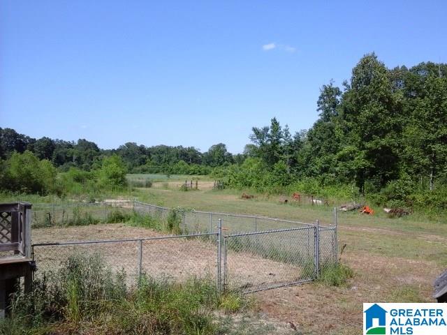 341 Happy Knoll Road Ashville, AL 35953 - Photo 32 of 47