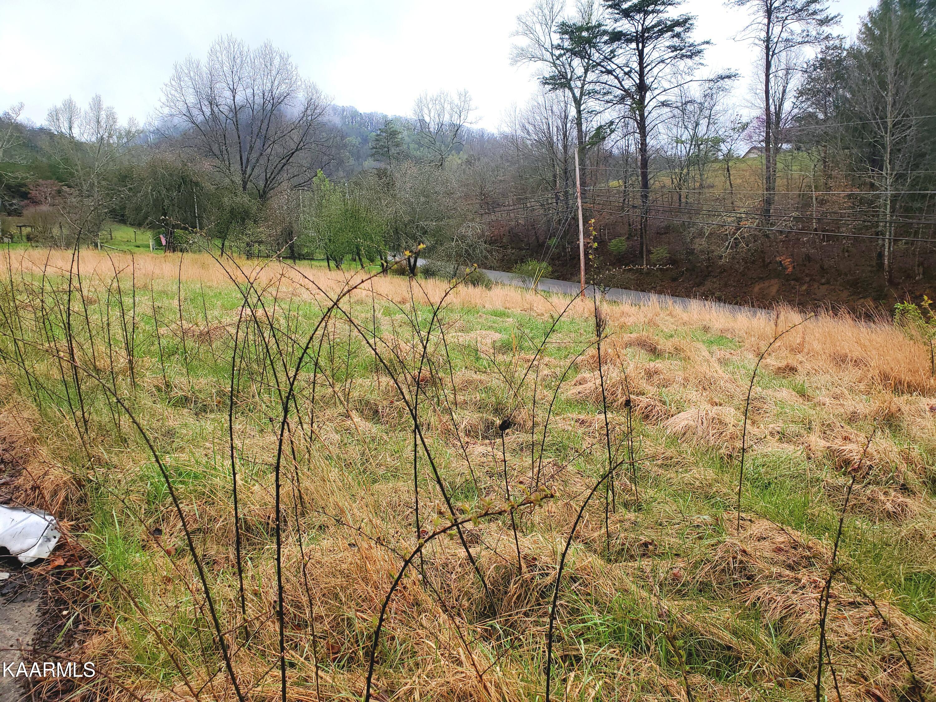 2-3 Prospect Road Luttrell, TN 37779 - Photo 5 of 10 20220412_153516