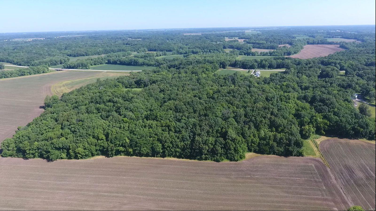 8954 Renken Road Staunton, IL 62088 - Photo 14 of 14