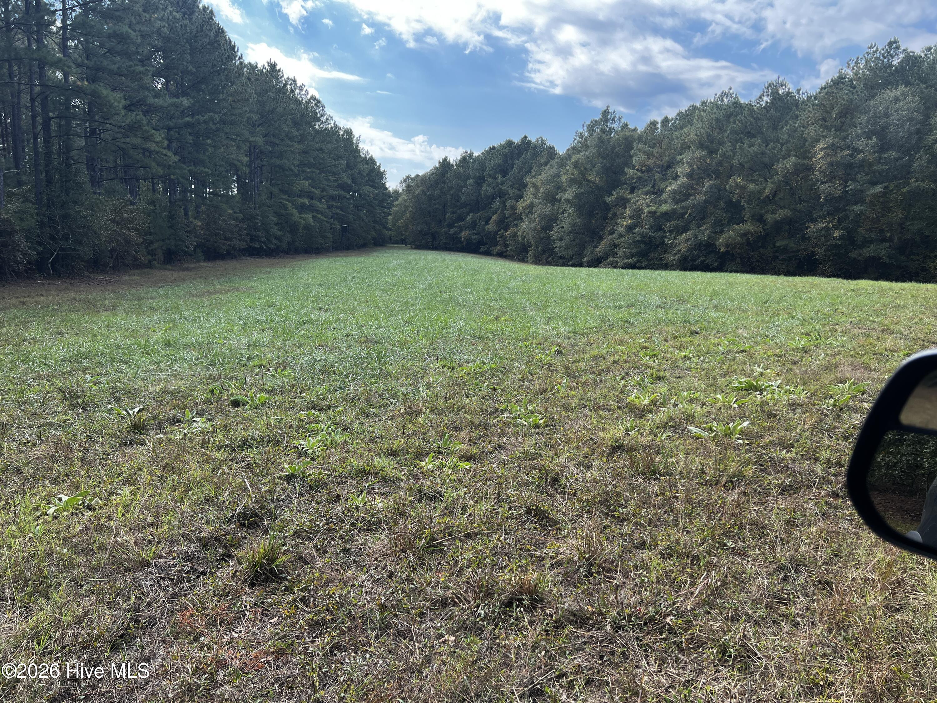 23801 Marston Road Laurel Hill, NC 28351 - Photo 11 of 15 68702932401__099BBE99-E639-4EC6-81B4-ACD