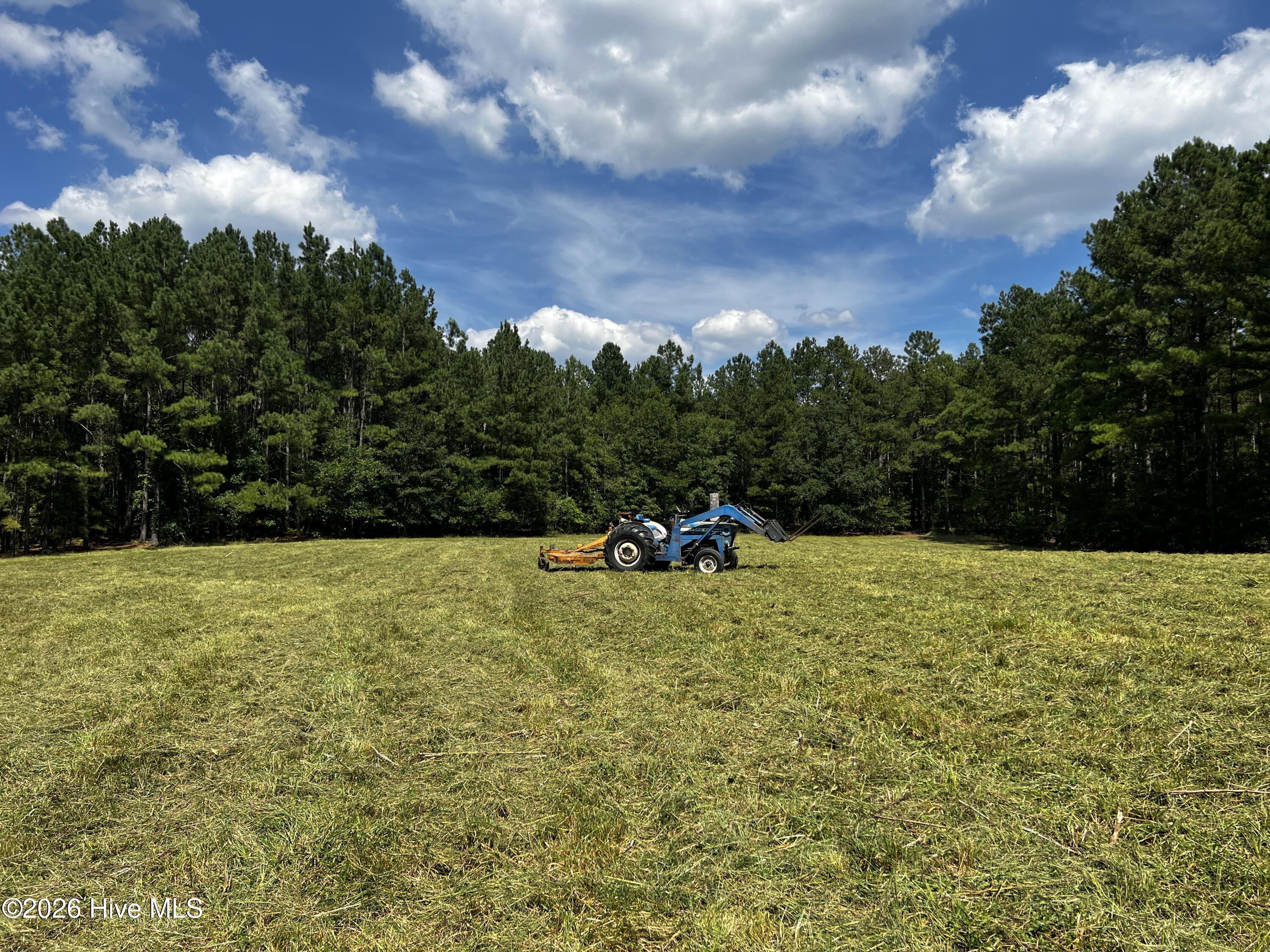 23801 Marston Road Laurel Hill, NC 28351 - Photo 15 of 15 IMG_1741