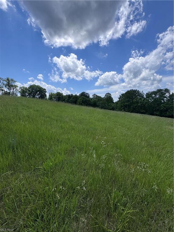 0 Johnson Ridge Road Stockport, OH 43787 - Photo 8 of 16 8