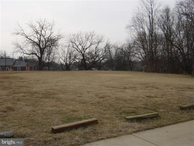 419 Lambeth Road Catonsville, MD 21228 - Photo 22 of 30 Wooded View / Acreage 2