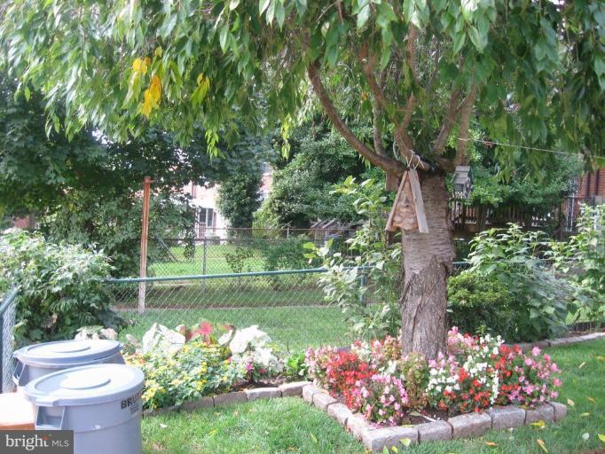 419 Lambeth Road Catonsville, MD 21228 - Photo 26 of 30 Garden #2