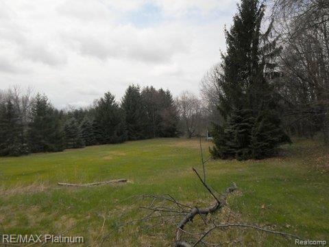2589 North Hughes Road Howell, MI 48855 - Photo 9 of 12