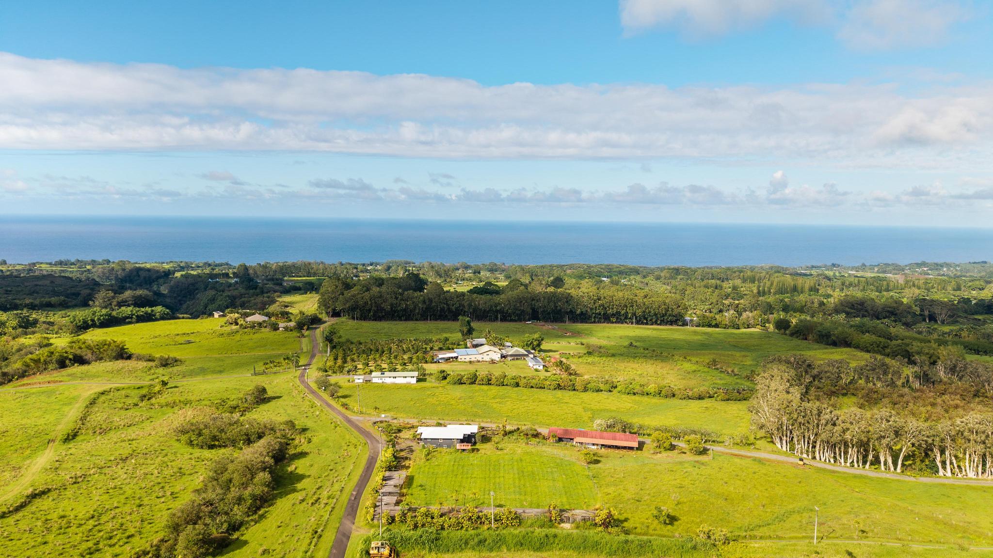 29-613 Lot Road Papaikou, HI 96781 - Photo 17 of 18
