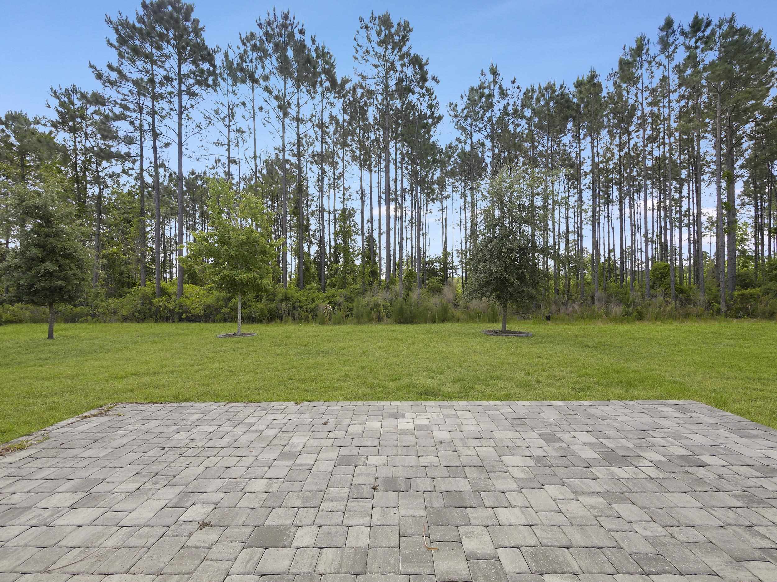 597 Meadow Ridge Drive St. Augustine, FL 32092 - Photo 44 of 56 a view of a park and trees in the background
