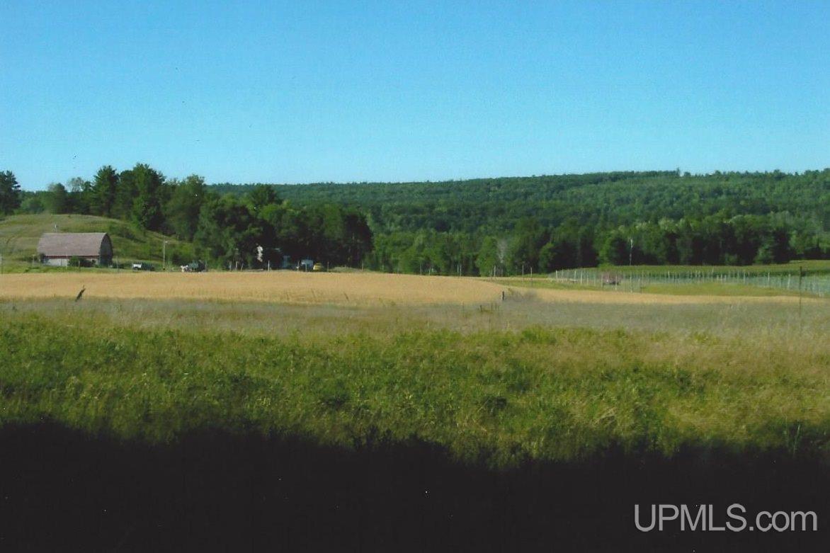 Tbd Wpa Road, Unit LOT 1 Vulcan, MI 49892 - Photo 4 of 4