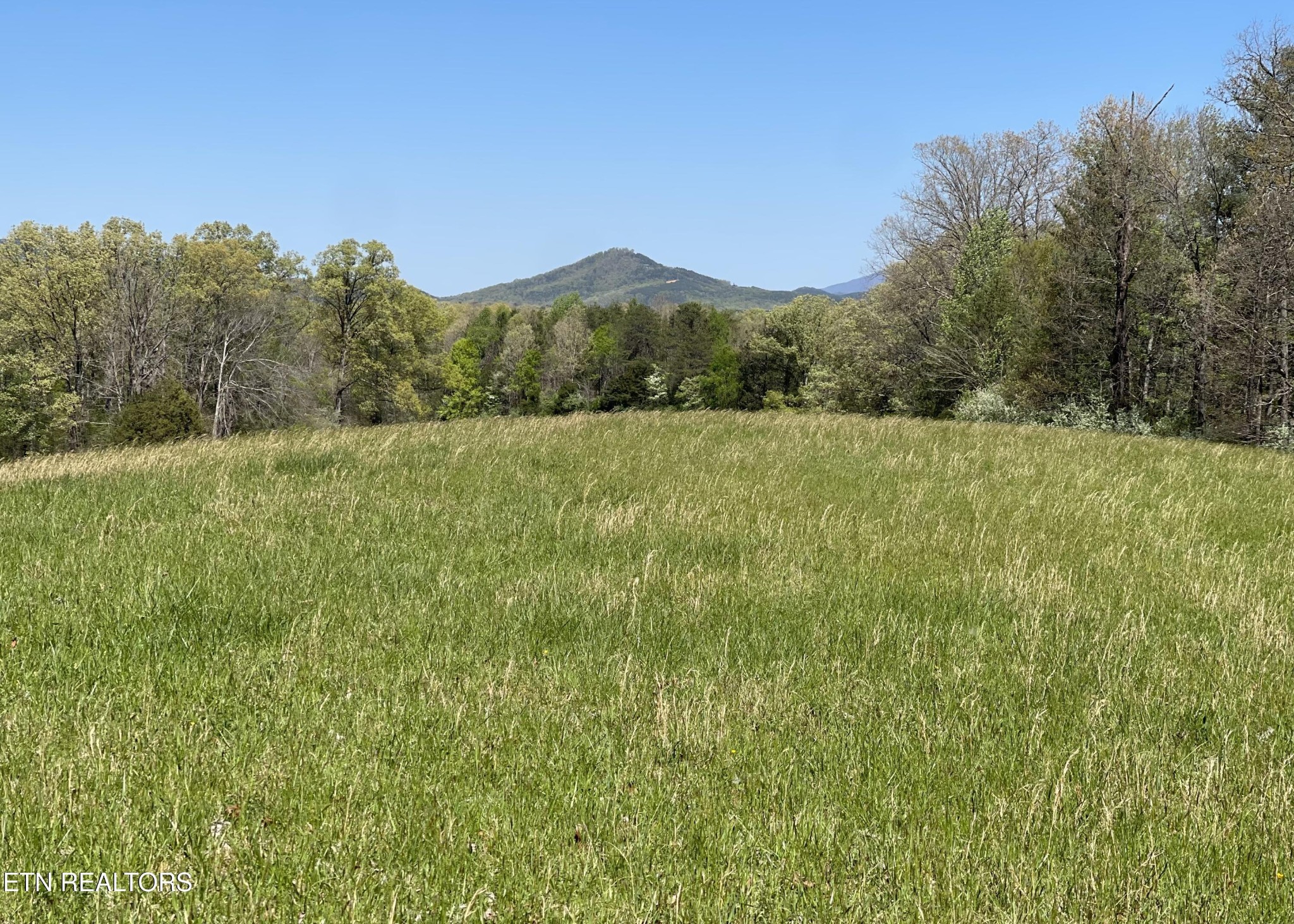 285 New Providence Road Tellico Plains, TN 37385 - Photo 42 of 45 Gallery Image 42