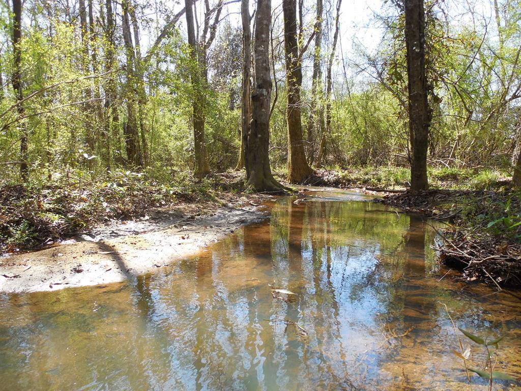 7.1-acres Cobb Road Dothan, AL 36301 - Photo 13 of 55