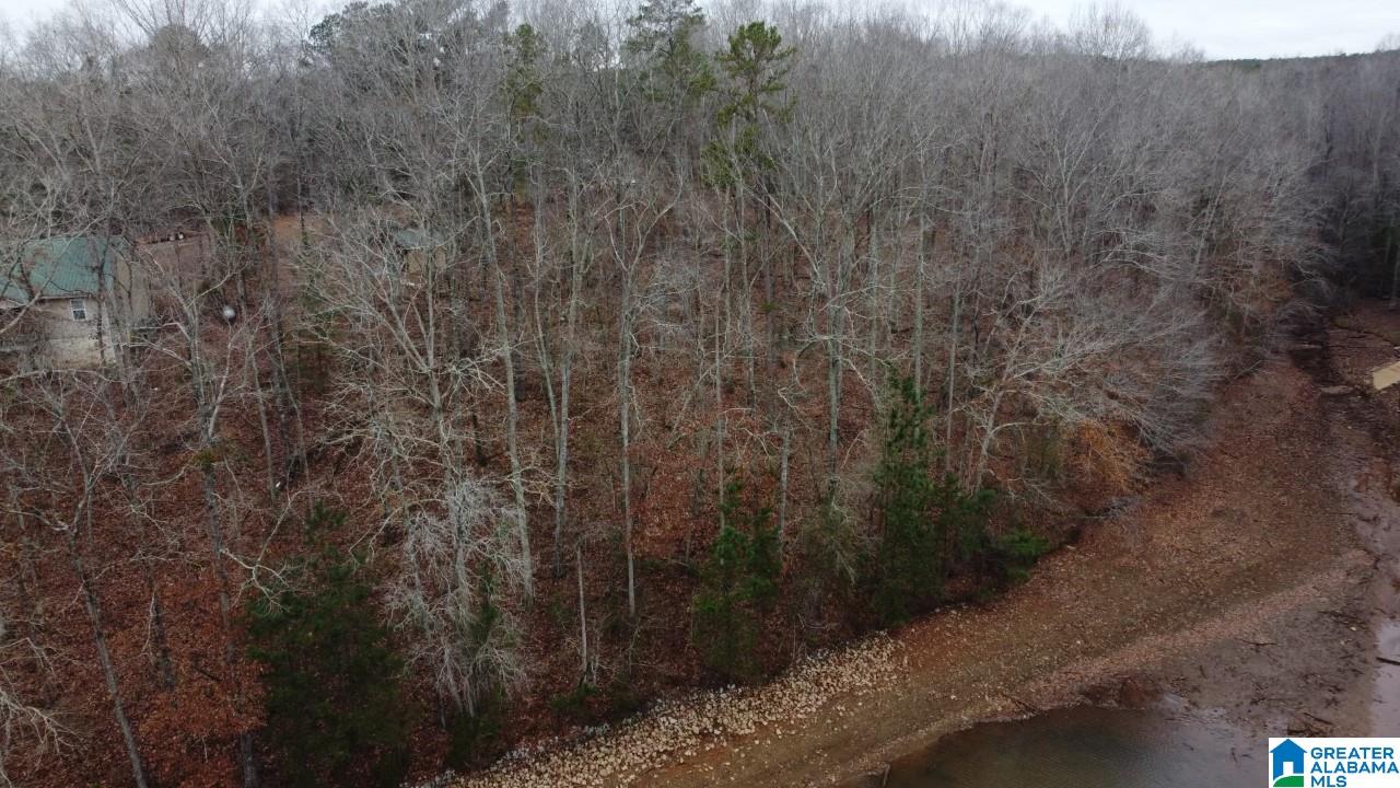 Warren Road, Unit 1 78 Wedowee, AL 36278 - Photo 1 of 6
