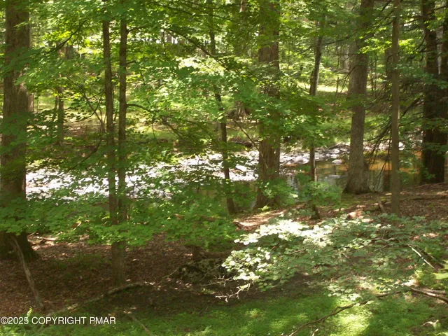 a backyard of a house with large trees