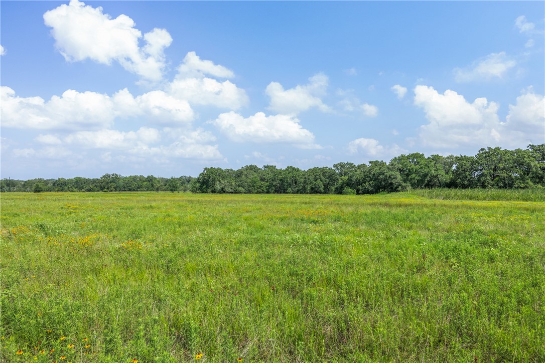 0 Hopes Creek Road College Station, TX 77845 - Photo 10 of 24
