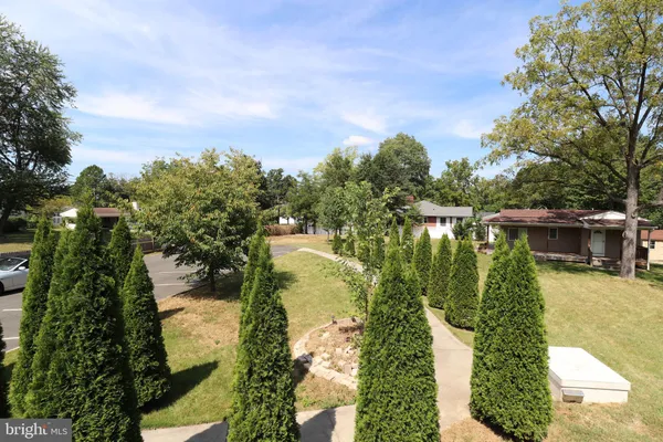a view of a big yard with trees