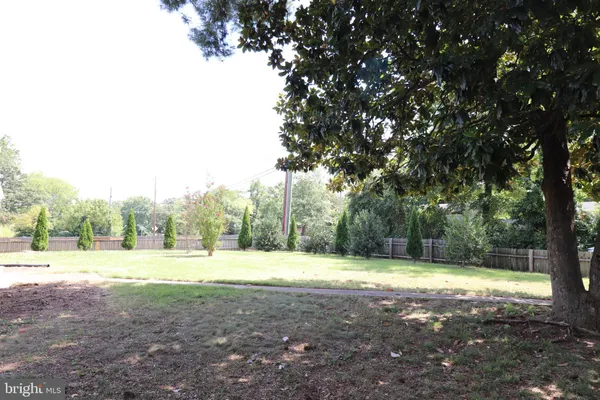 a view of a yard with a tree