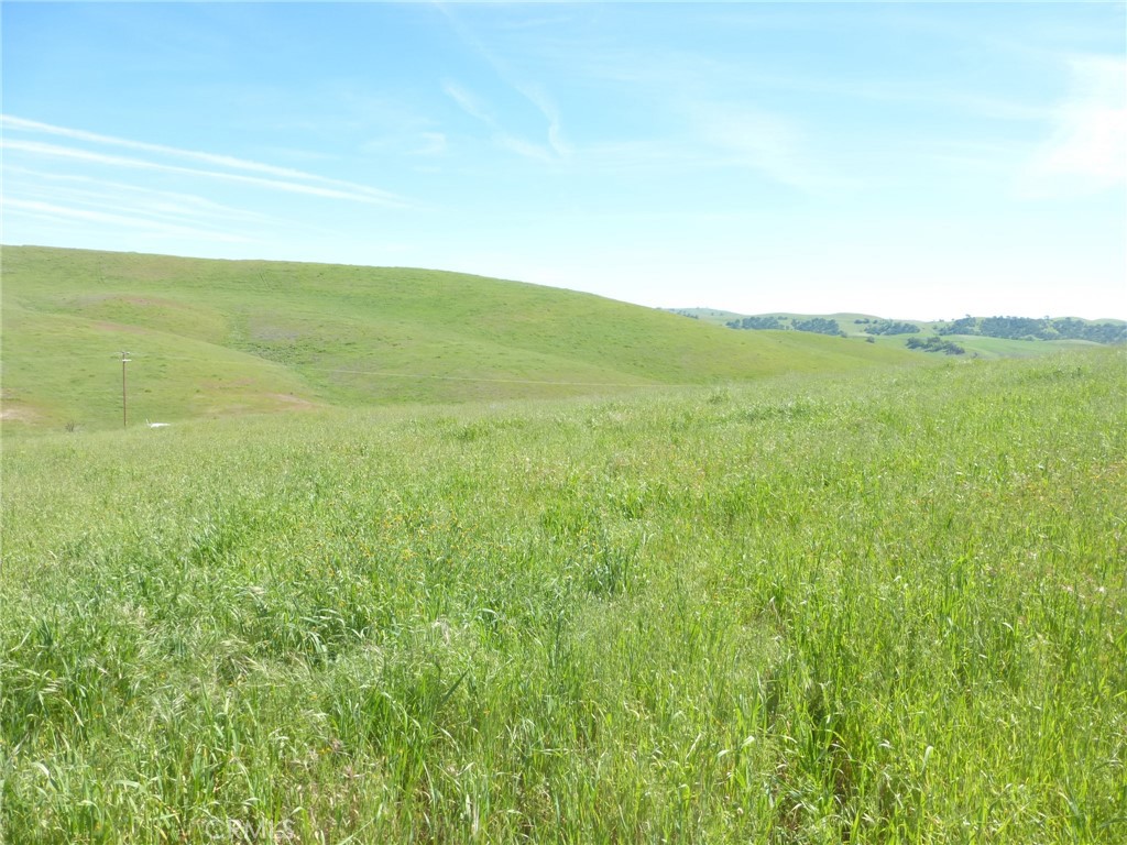 0 Douglas Road San Miguel, CA 93451 - Photo 3 of 51