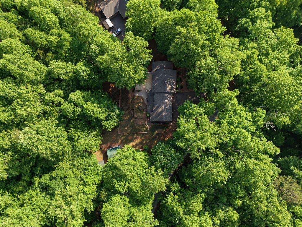 1677 Long Ridge Road Hiawassee, GA 30546 - Photo 54 of 55 Gallery Image 54