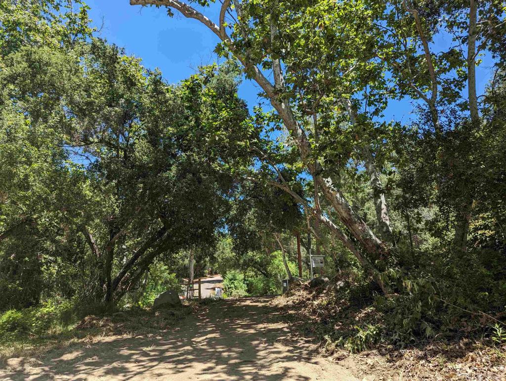 1 De Luz Murrieta Road Fallbrook, CA 92028 - Photo 2 of 12 a picture of tree