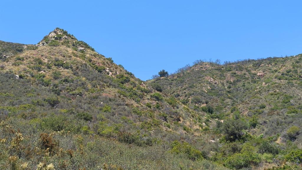 1 De Luz Murrieta Road Fallbrook, CA 92028 - Photo 4 of 12 a view of a large building with a mountain in the background
