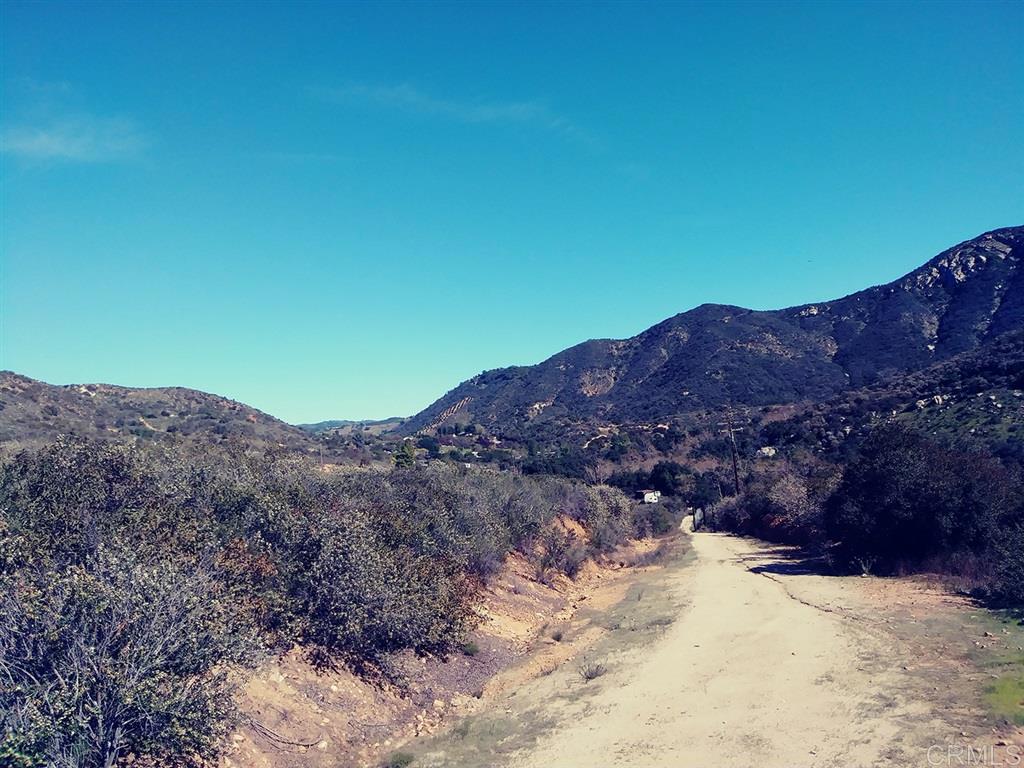 1 De Luz Murrieta Road Fallbrook, CA 92028 - Photo 7 of 12 a view of a large tree